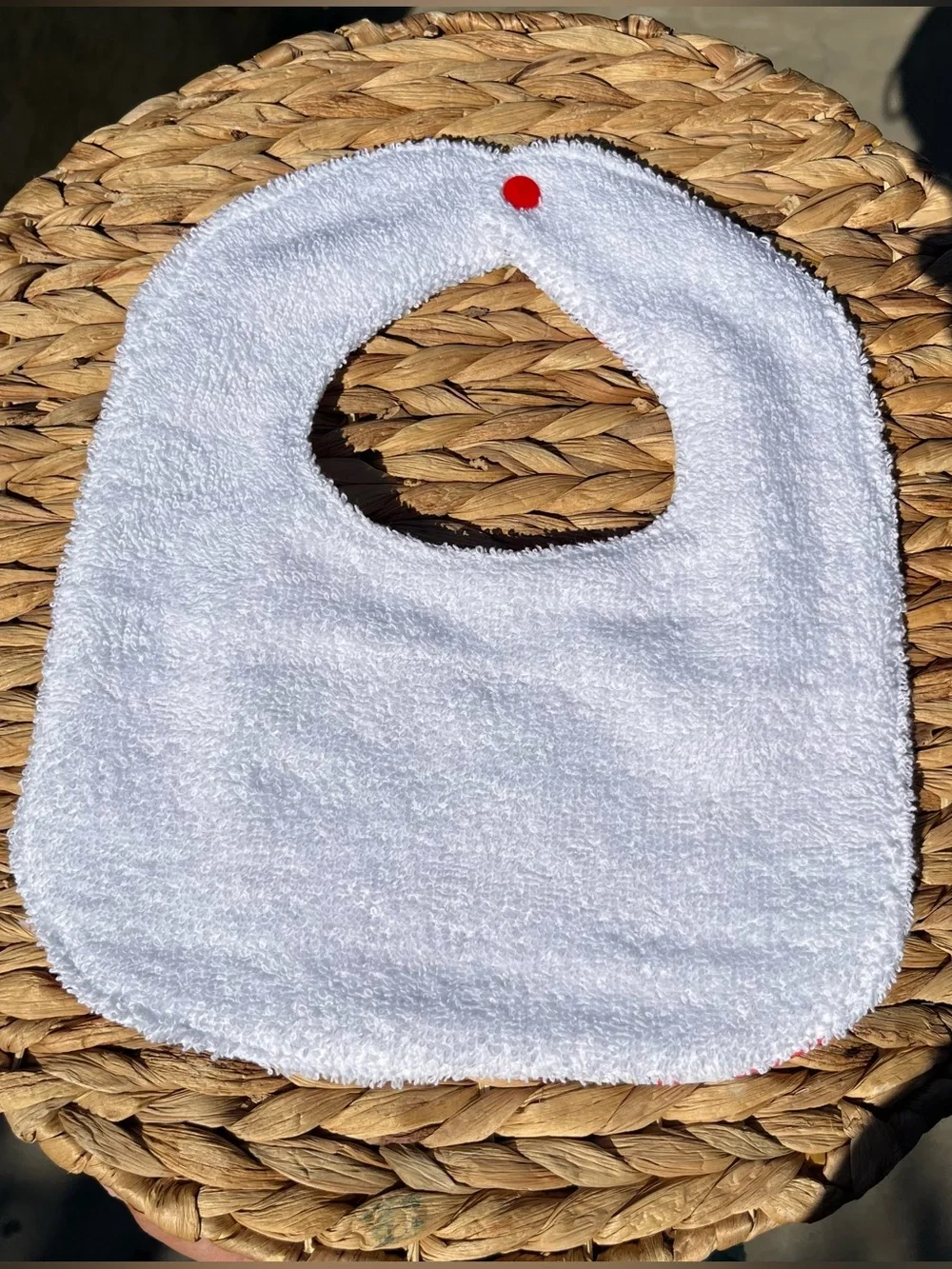 Clifford the Big Red Dog bib